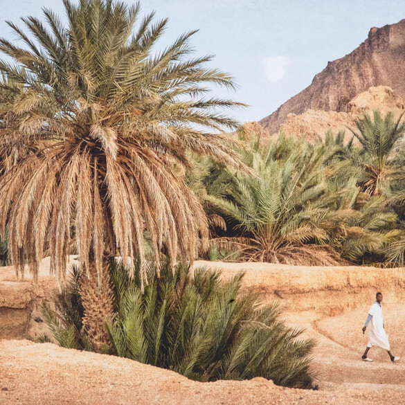 EICHHOLTZ Print Moroccan Oasis by Marta Rossignol, 103x83 cm