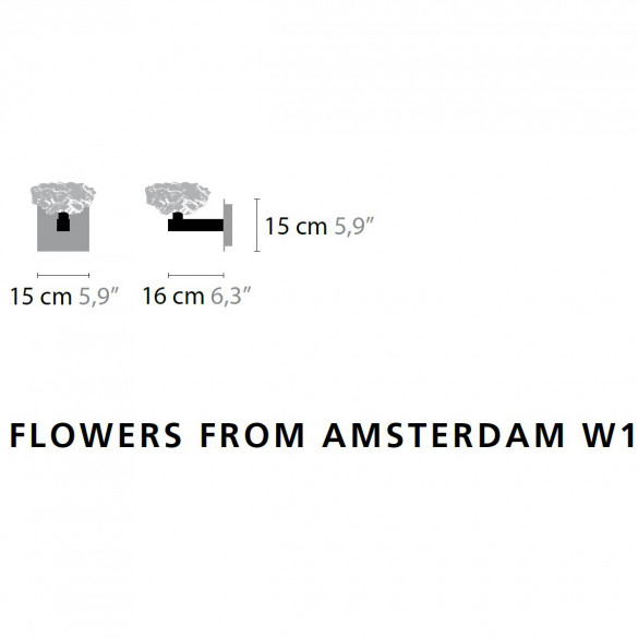ILFARI Flowers from Amsterdam W1 Wandleuchte
