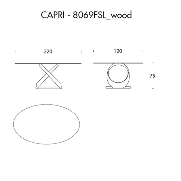Tonin Casa CAPRI T8069FSW ovaler Esstisch mit Holzplatte 220 cm