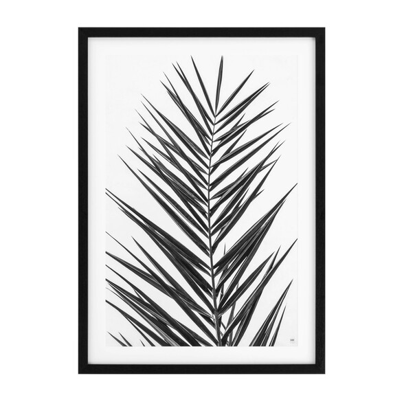 EICHHOLTZ Prints Palm Leaves 2er Set 75x105 cm