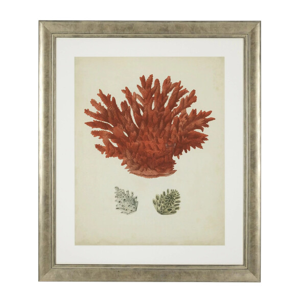 EICHHOLTZ Prints Antique Red Corals 6er Set 58x68 cm